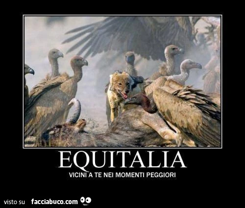 Equitalia. Vicini a te nei momenti peggiori. Avvoltoi