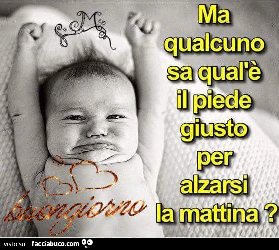 Ma qualcuno sa qual'è il piede giusto per alzarsi la mattina?