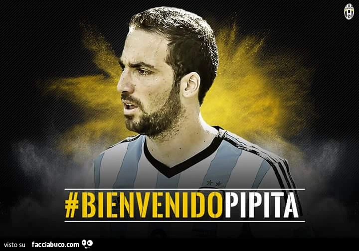 #BienvenidoPipita