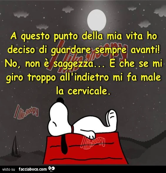 A questo punto della mia vita ho deciso di guardare sempre avanti. No non è saggezza, e che se mi giro troppo all'indietro mi fa male la cervicale