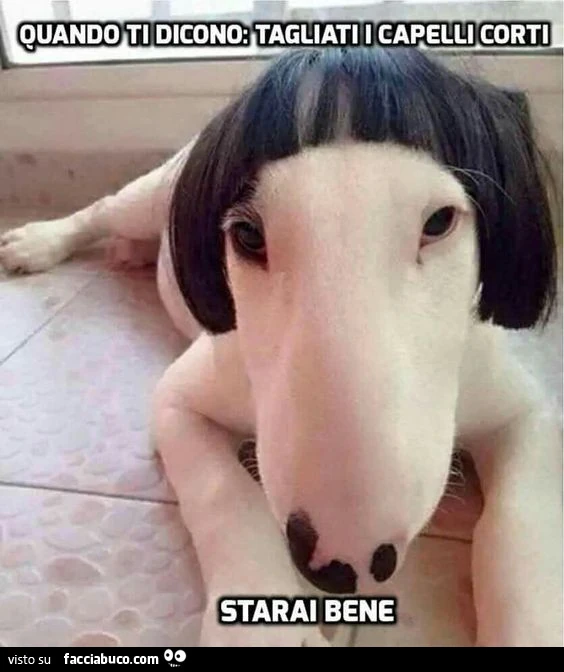 Quando ti dicono: tagliati i capelli corti. Starai bene