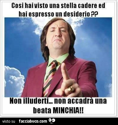 Così hai visto una stella cadere ed hai espresso un desiderio? Non illuderti, non accadrà una beata minchia