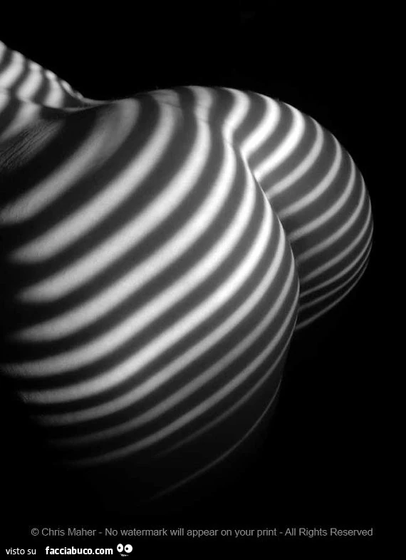 Sedere artistico