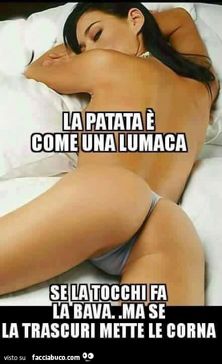 La patata è come una lumaca. Se la tocchi fa la bava, ma se la trascuri mette le corna