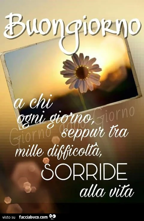 Buongiorno a chi ogni giorno seppur tra mille difficoltà sorride alla vita