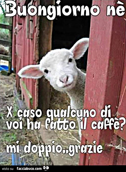 Buongiorno nè, x caso qualcuno di voi ha fatto il caffè? Mi doppio grazie