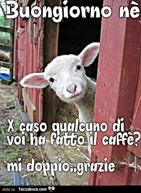 Buongiorno nè, x caso qualcuno di voi ha fatto il caffè? Mi doppio grazie
