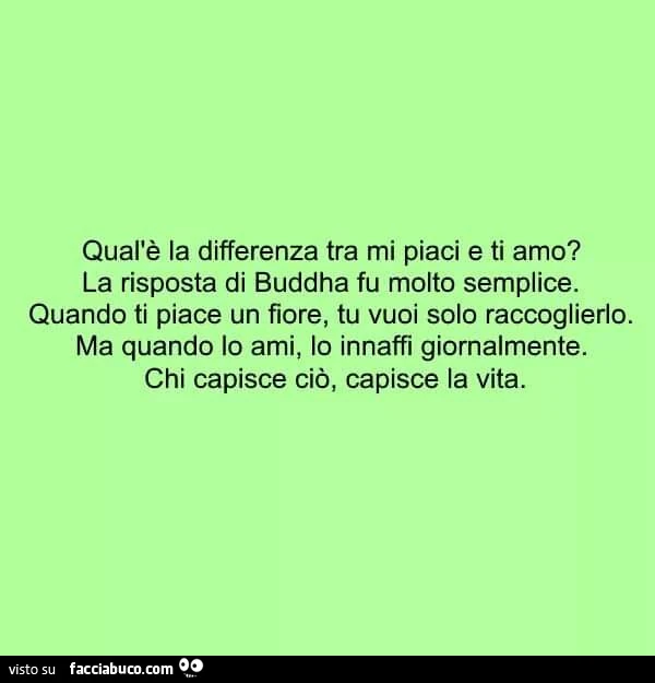 Qual'è la differenza tra mi piaci e ti amo? La risposta di Buddha fu molto semplice. Quando ti piace un fiore tu vuoi solo raccoglierlo. Ma quando lo ami lo innaffi giornalmente. Chi capisce ciò, capisce la vita