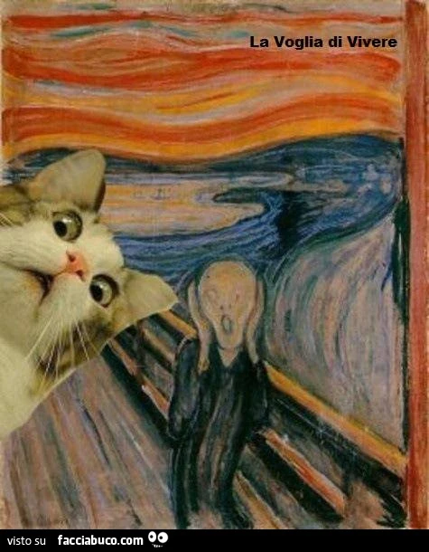 Il gatto sorpreso. E l'urlo di Munch urla