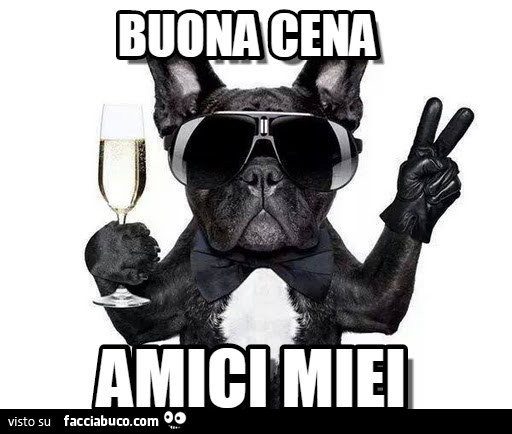 Cane con occhiali da sole e champagne. Buona cena amici miei