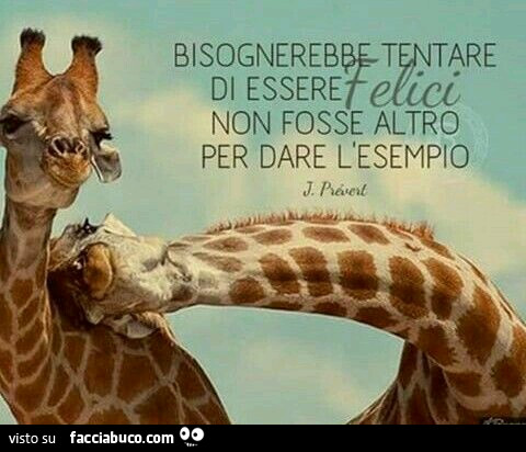 Bisognerebbe tentare di essere felici, non fosse altro per dare l'esempio