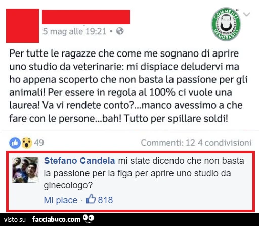 Per tutte le ragazze che come me sognano di aprire uno studio da veterinarie: mi dispiace deludervi ma ho appena scoperto che non basta la passione per gli animali! Per essere proprio in regola al 100% ci vuole una laurea! Ma vi rendete conto?