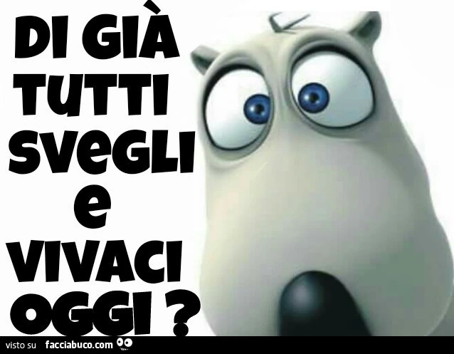 Di già tutti svegli e vivaci oggi?