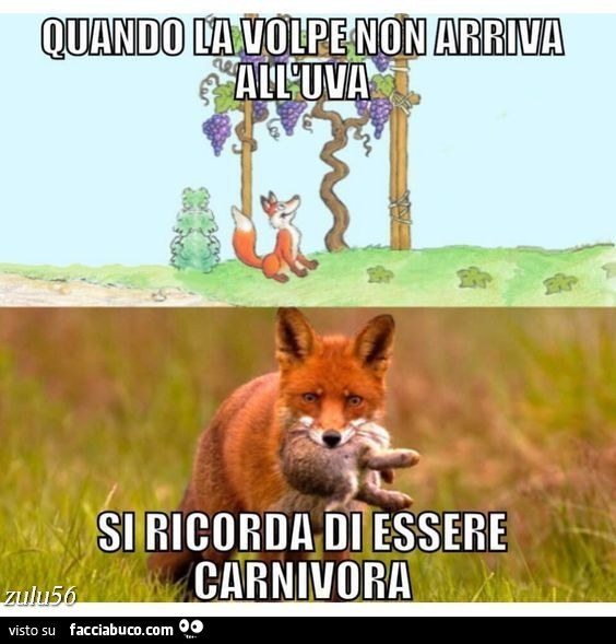 Commentario - d'appendice -1 1whx67znsl-quando-la-volpe-non-arriva-all-uva-si-ricorda-di-essere-carnivora_a