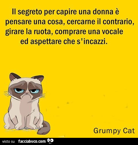 Il segreto per capire una donna è pensare a una cosa, cercarne il contrario, girare la ruota, comprare una vocale ed aspettare che s'incazzi