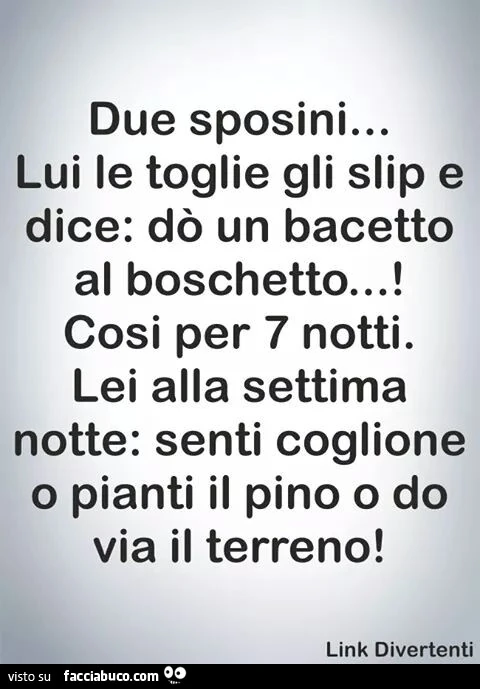Due sposini: lui le toglie gli slip e dice: do un bacetto al boschetto