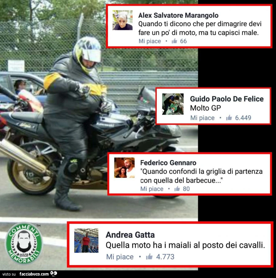Ciccione in moto. Quando ti dicono che per dimagrire devi fare un po' di moto ma tu capisci male. Molto GP. Quella moto ha i maiali al posto dei cavalli