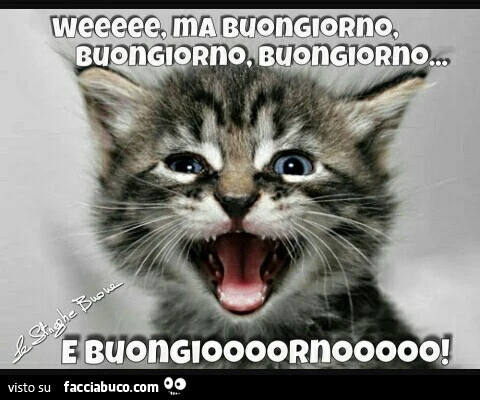 Weee ma buongiorno, buongiorno, buongiorno&hellip; e buongiorno
