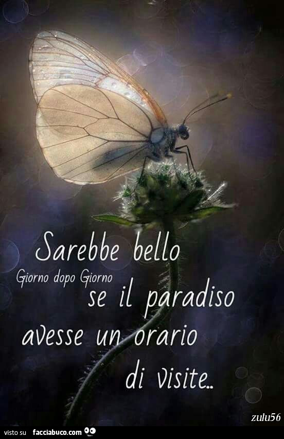 Sarebbe bello se il paradiso avesse un orario di visite