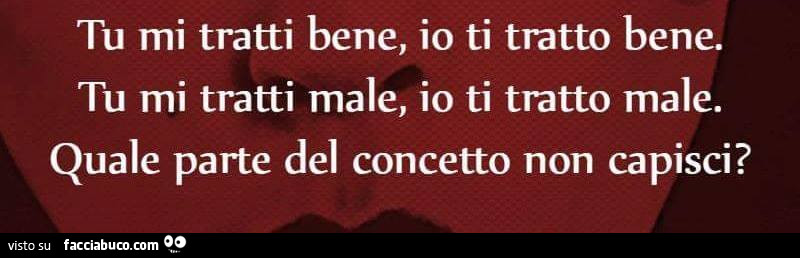 Tu mi tratti bene, io ti tratto bene. Tu mi tratti male, io ti tratto male. Quale parte del concetto non capisci?