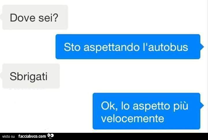Dove sei? Sto aspettando l'autobus. Sbrigati. Ok, lo aspetto più velocemente