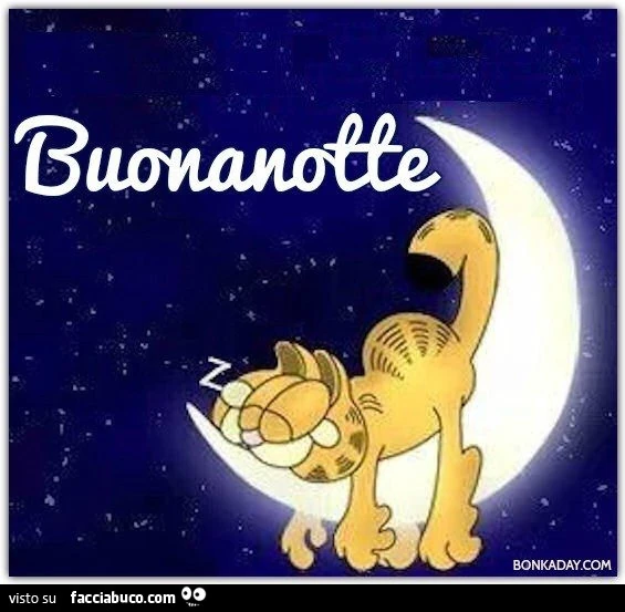 Buonanotte da Garfield sdraiato sulla luna