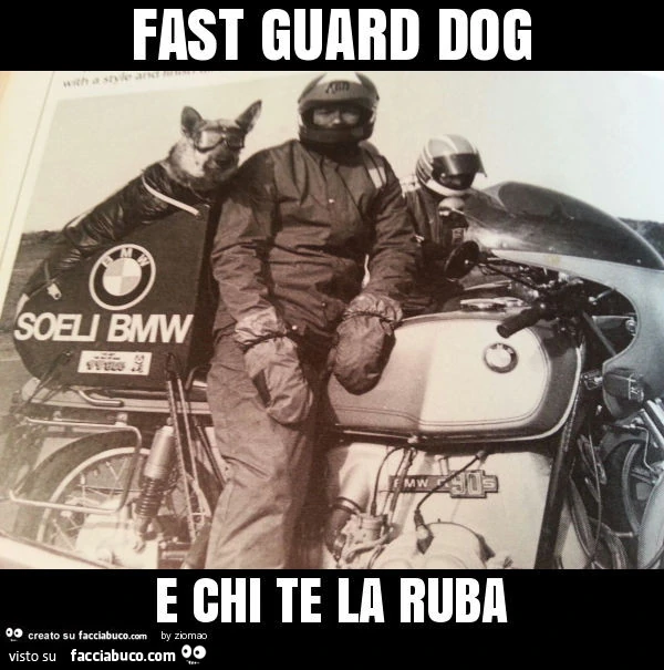 Fast guard dog e chi te la ruba