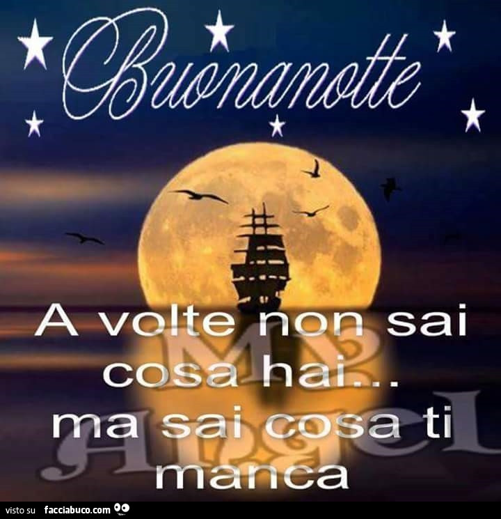 Buonanotte. A volte non sai cosa hai ma sai cosa ti manca