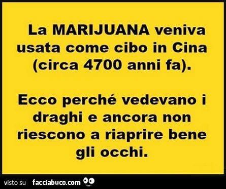 La marijuana veniva usata come cibo in cina circa 4700 anni fa. Ecco perché vedevano i draghi e ancora non riescono a riaprire bene gli occhi